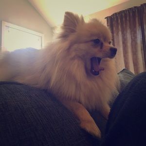 Bear says, don’t sleep on these deals! 👻🙋‍♀️🐻